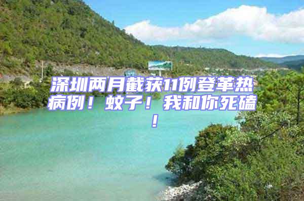深圳兩月截獲11例登革熱病例!蚊子!我和你死磕!