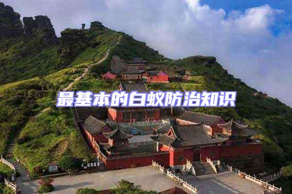 最基本的白蟻防治知識(shí)