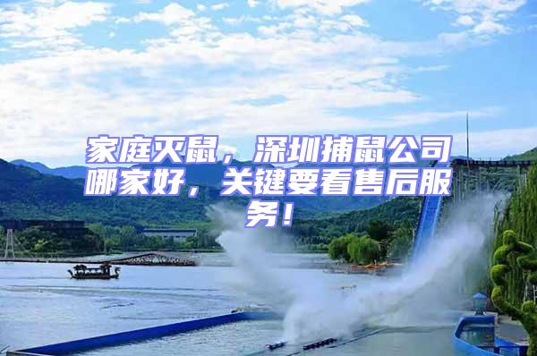 家庭滅鼠，深圳捕鼠公司哪家好，關(guān)鍵要看售后服務(wù)！
