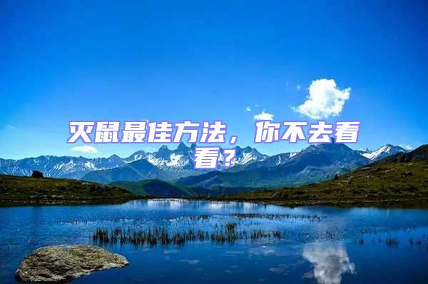 滅鼠最佳方法,你不去看看?