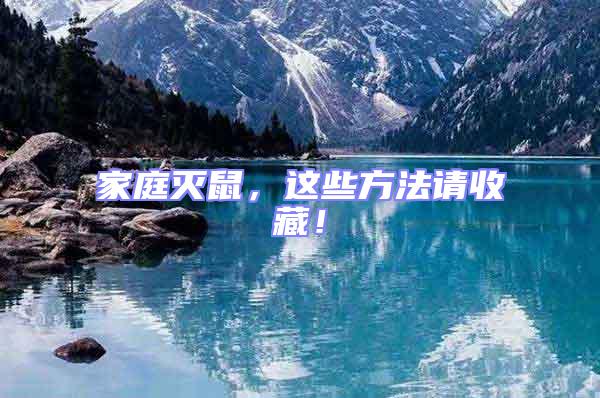 家庭滅鼠,這些方法請收藏!