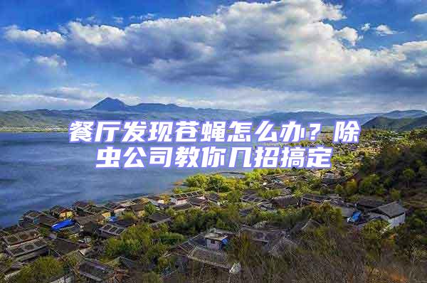 餐廳發(fā)現(xiàn)蒼蠅怎么辦?除蟲公司教你幾招搞定