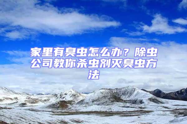 家里有臭蟲怎么辦？除蟲公司教你殺蟲劑滅臭蟲方法