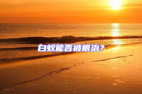 白蟻能否被根治?