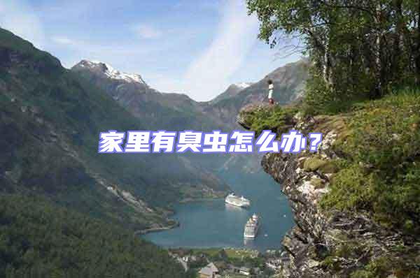 家里有臭蟲怎么辦？
