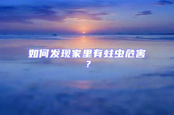 如何發(fā)現(xiàn)家里有蛀蟲危害?