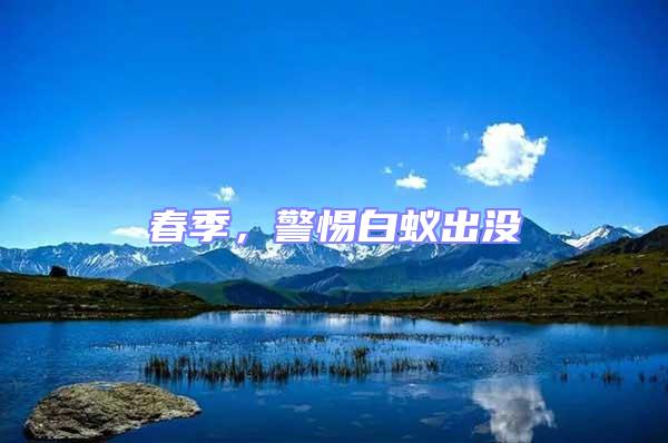 春季，警惕白蟻出沒