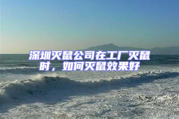 深圳滅鼠公司在工廠滅鼠時，如何滅鼠效果好