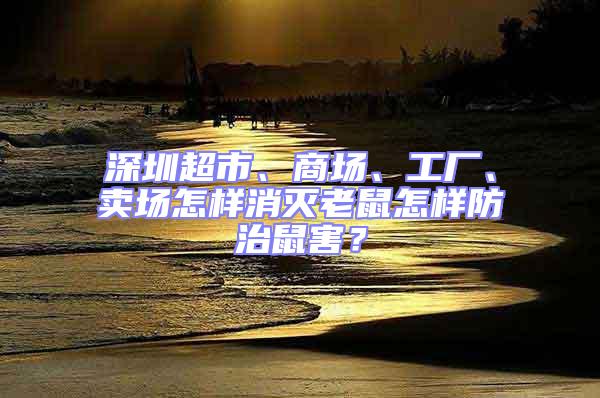 深圳超市、商場、工廠、賣場怎樣消滅老鼠怎樣防治鼠害?