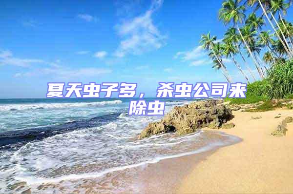 夏天蟲子多,殺蟲公司來除蟲