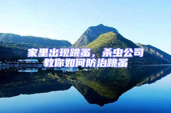 家里出現(xiàn)跳蚤,殺蟲公司教你如何防治跳蚤
