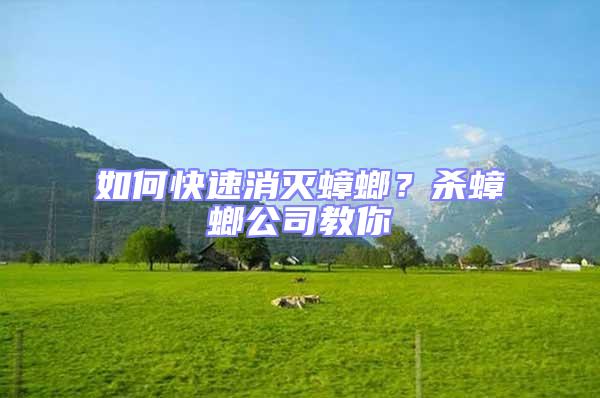 如何快速消滅蟑螂?殺蟑螂公司教你