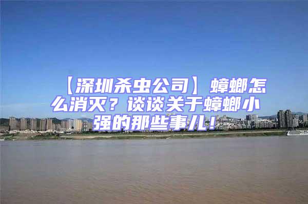 【深圳殺蟲公司】蟑螂怎么消滅?談?wù)勱P(guān)于蟑螂小強(qiáng)的那些事兒!