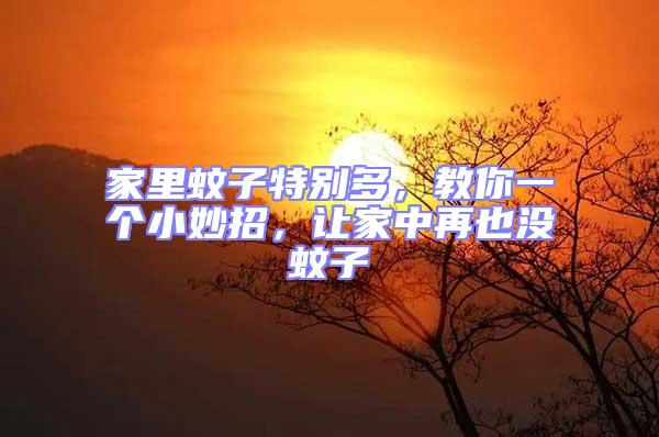 家里蚊子特別多,教你一個(gè)小妙招,讓家中再也沒蚊子
