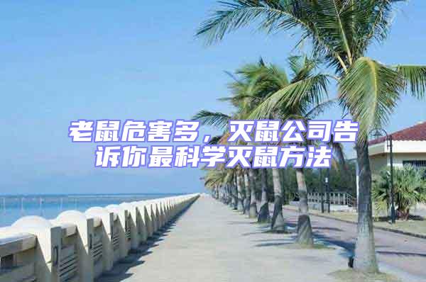 老鼠危害多,滅鼠公司告訴你最科學(xué)滅鼠方法