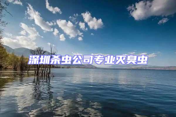 深圳殺蟲公司專業滅臭蟲