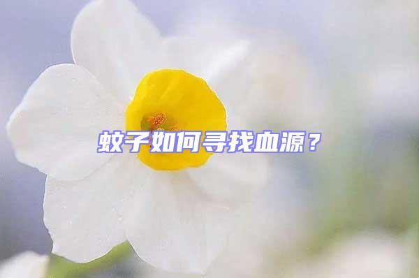 蚊子如何尋找血源?
