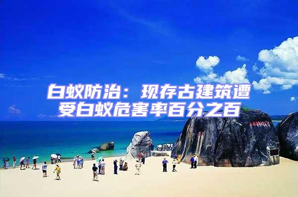 白蟻防治:現(xiàn)存古建筑遭受白蟻危害率百分之百