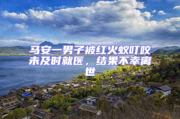 馬安一男子被紅火蟻叮咬未及時就醫,結果不幸離世