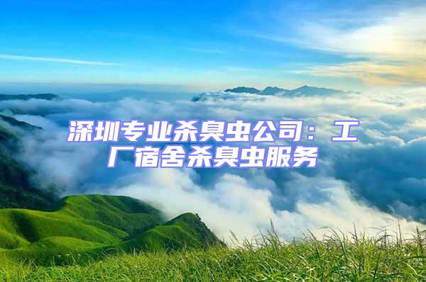 深圳專業(yè)殺臭蟲公司：工廠宿舍殺臭蟲服務(wù)