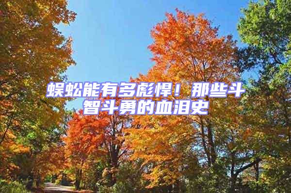 蜈蚣能有多彪悍!那些斗智斗勇的血淚史
