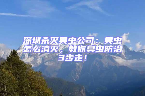 深圳殺滅臭蟲公司:臭蟲怎么消滅,教你臭蟲防治3步走!