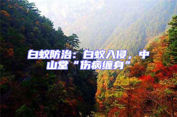 白蟻防治:白蟻入侵,中山堂“傷病纏身”