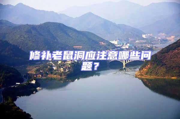 修補老鼠洞應(yīng)注意哪些問題？