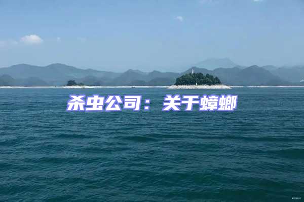 殺蟲公司:關于蟑螂