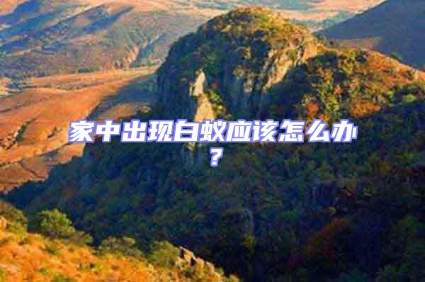 家中出現白蟻應該怎么辦？