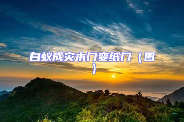 白蟻成災木門變紙門(圖)