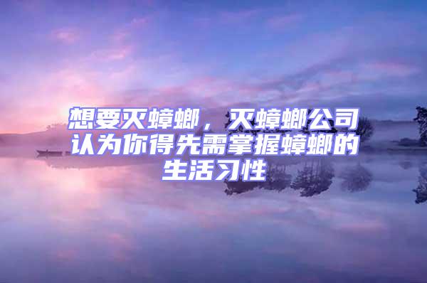 想要滅蟑螂,滅蟑螂公司認為你得先需掌握蟑螂的生活習性