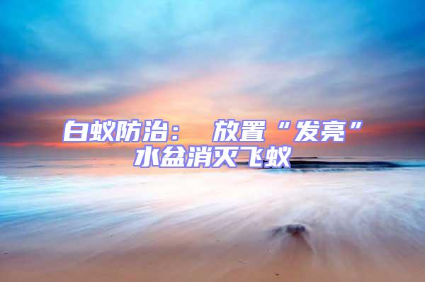白蟻防治: 放置“發亮”水盆消滅飛蟻