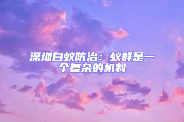 深圳白蟻防治：蟻群是一個(gè)復(fù)雜的機(jī)制