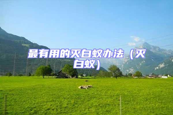 最有用的滅白蟻辦法(滅白蟻)