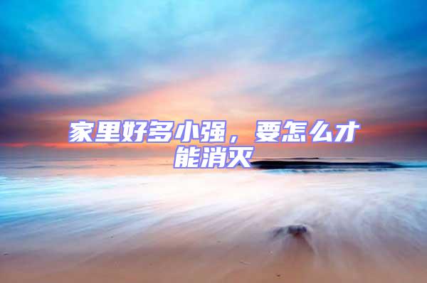家里好多小強,要怎么才能消滅