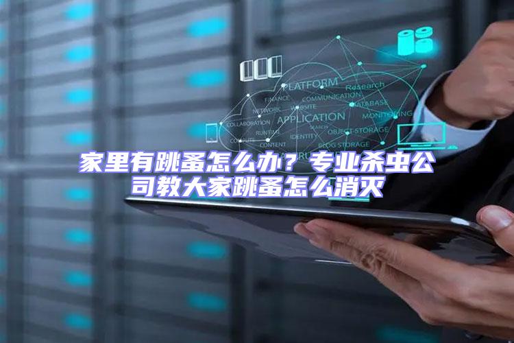 家里有跳蚤怎么辦？專業(yè)殺蟲公司教大家跳蚤怎么消滅