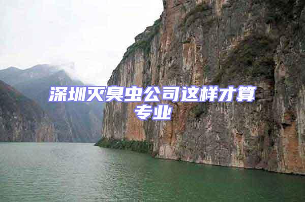 深圳滅臭蟲公司這樣才算專業(yè)