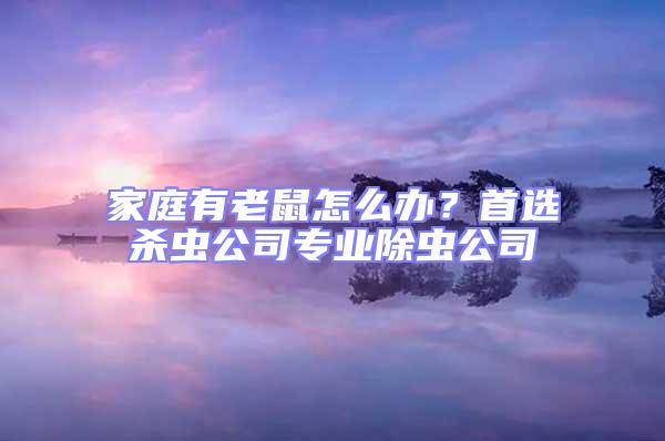 家庭有老鼠怎么辦?首選殺蟲(chóng)公司專業(yè)除蟲(chóng)公司