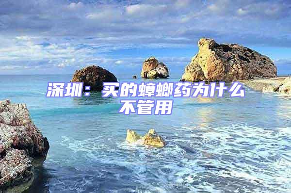 深圳:買的蟑螂藥為什么不管用