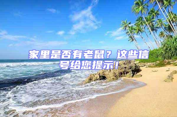 家里是否有老鼠？這些信號給您提示！
