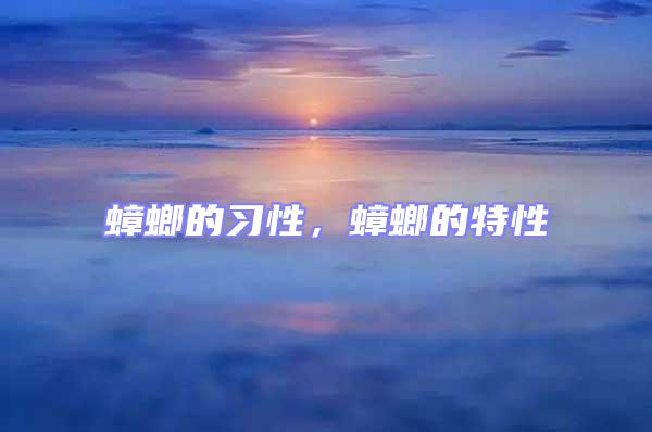 蟑螂的習性，蟑螂的特性