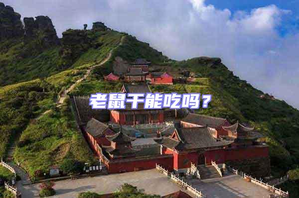 老鼠干能吃嗎?