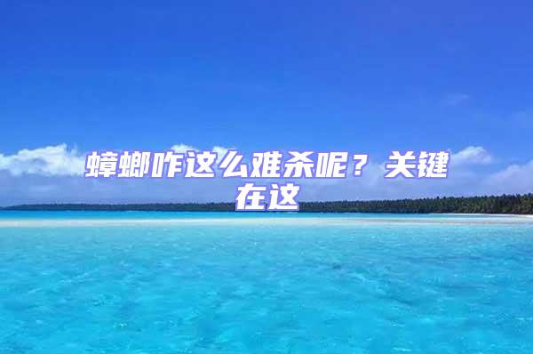 蟑螂咋這么難殺呢?關(guān)鍵在這