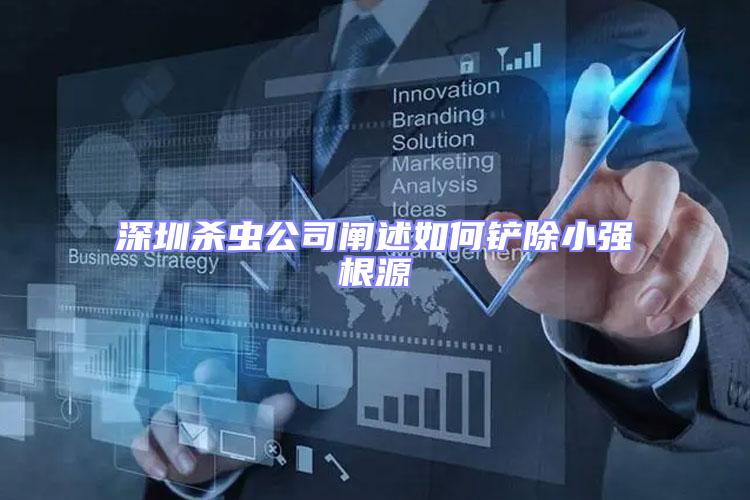 深圳殺蟲公司闡述如何鏟除小強(qiáng)根源