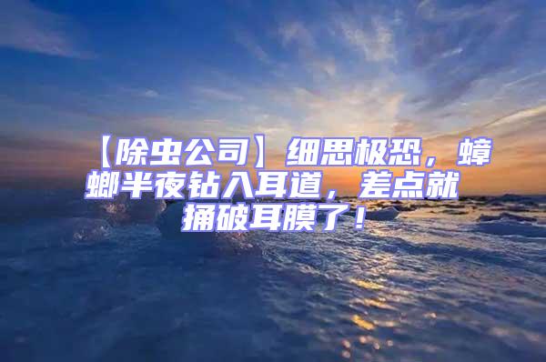 【除蟲公司】細思極恐,蟑螂半夜鉆入耳道,差點就捅破耳膜了!