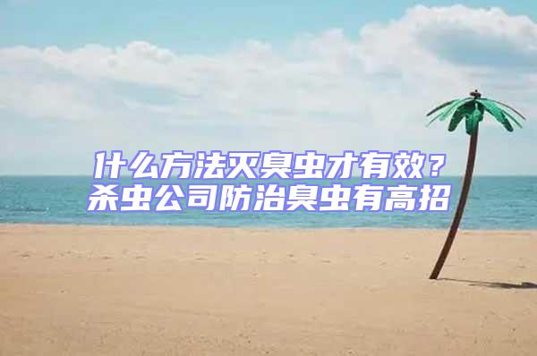 什么方法滅臭蟲才有效?殺蟲公司防治臭蟲有高招