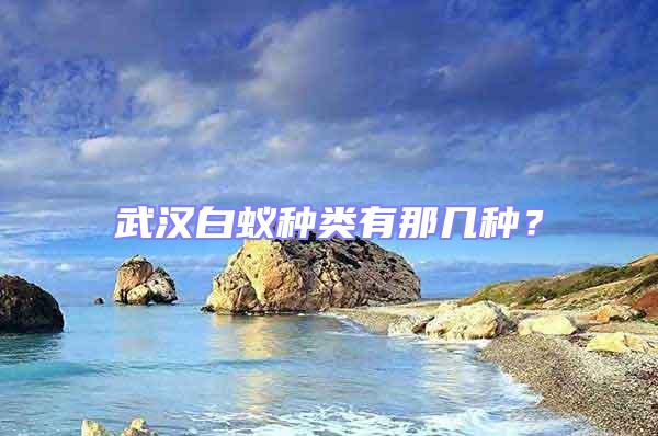 武漢白蟻種類有那幾種?