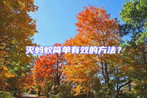 滅螞蟻簡單有效的方法?