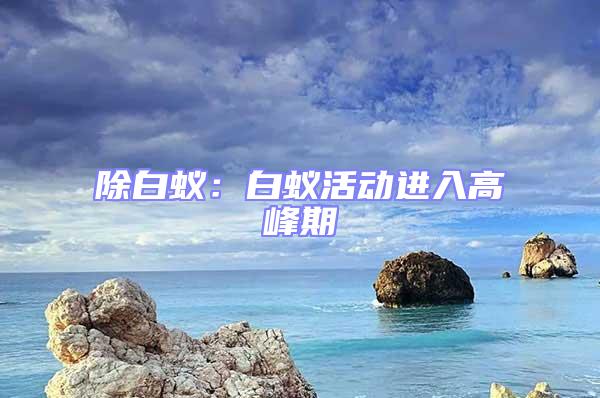 除白蟻:白蟻活動進入高峰期